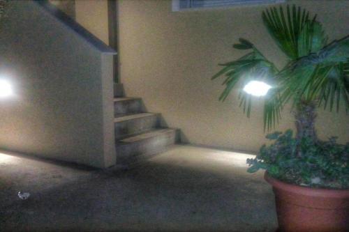 Apartments With A Parking Space Barbat (rab) - 12871