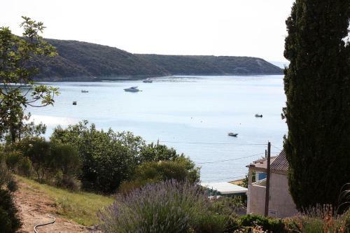 Apartments By The Sea Kampor (rab) - 5058