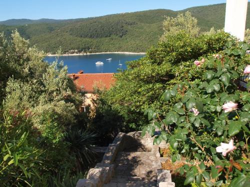 Apartments Katica 1078