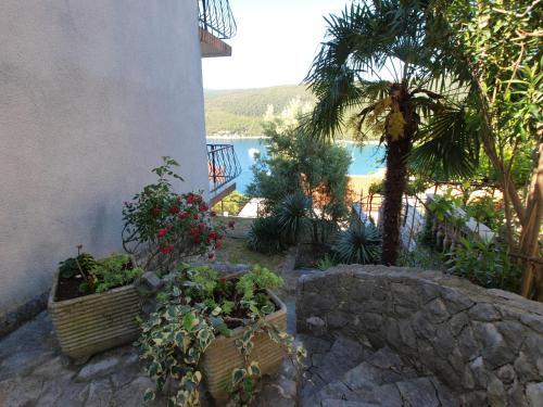 Apartments Katica 1078
