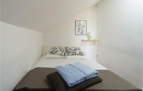 Two-bedroom Apartment In Rakovica