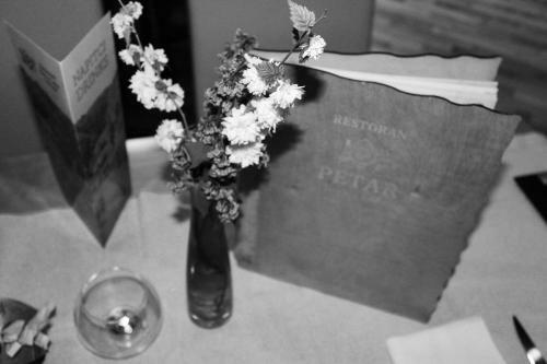 Hostal Pansion Krizmanic