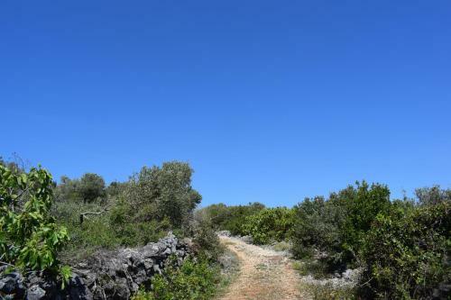 Agroturismo Dove's House
