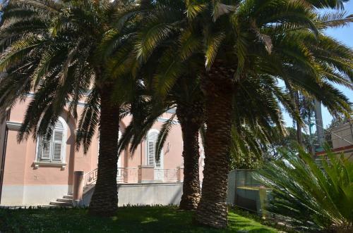 Apartment Babic