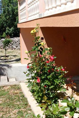 Apartment Rovanjska 6209a