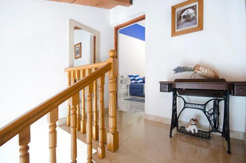 Apartments Ljubica 141