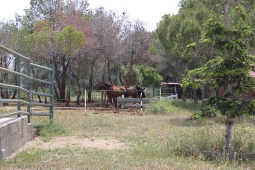 Rocaplana Club De Campo