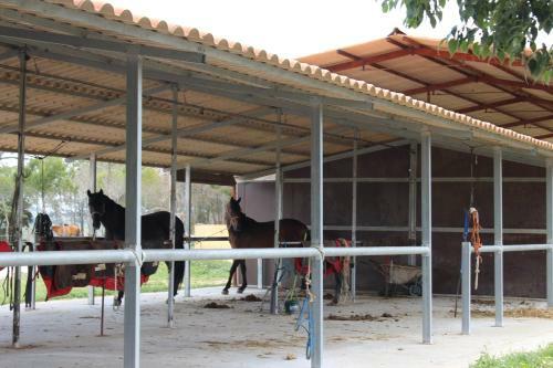 Rocaplana Club De Campo