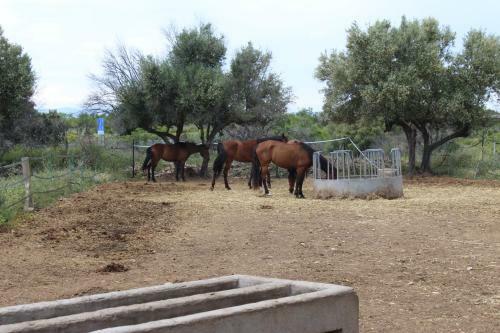 Rocaplana Club De Campo