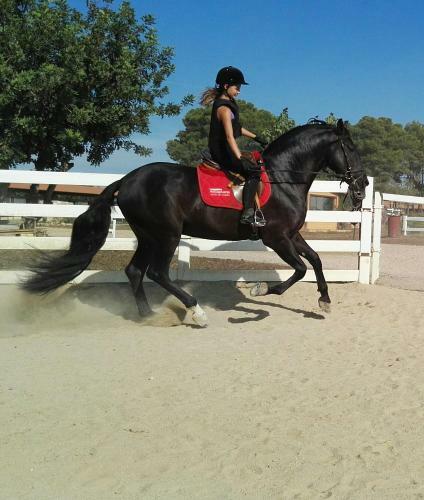 Rocaplana Club De Campo