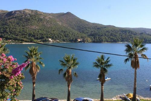 Apartment Slano 8538a