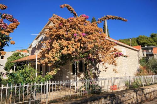 Seaside Holiday House Brna (korcula) - 9235