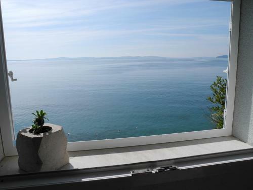 Hostal Apartments & Room Paula