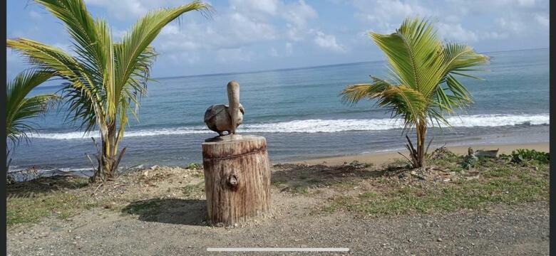 Casa Peace Haven Beach House