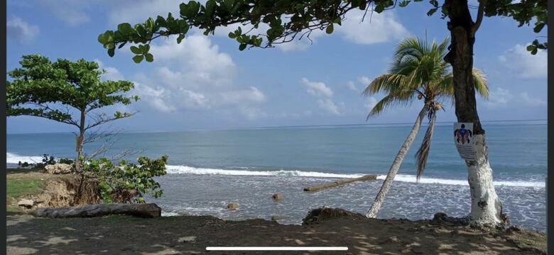 Casa Peace Haven Beach House