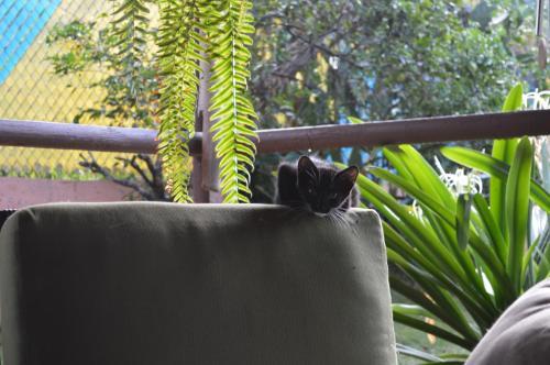 Bed & Breakfast Esperanza Inn