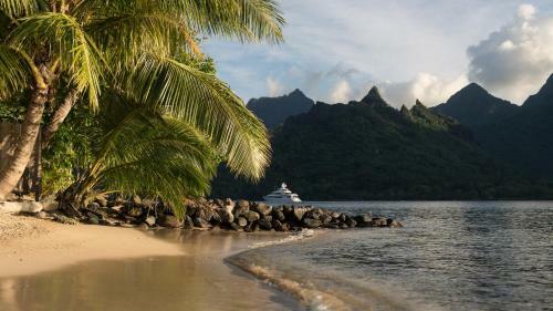 Robinson's Cove Villas - Deluxe Wallis Villa