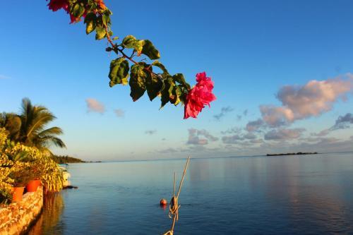 Hostal Taoahere Beach House