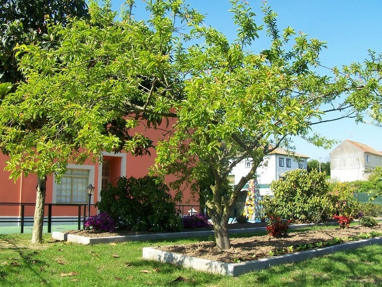 Hotel A�marisqueira