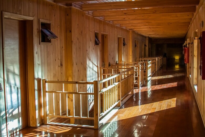 Noi Puma Lodge