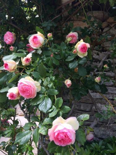 Bed & Breakfast Le Couvent