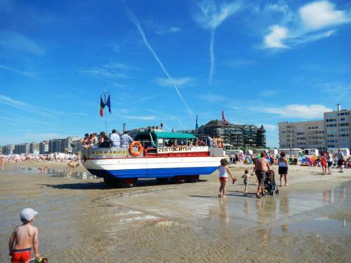 Apartamento Residentie Sofia, Coxy-beach, Iepenwal