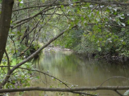 Le G�te Du Rigodon
