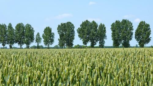 B&B Hemel & Haard
