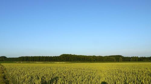 B&B Hemel & Haard