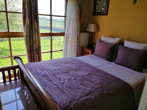 Hostal Johan's Lodge