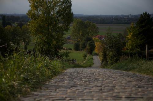 B&B Maison Kerkhove