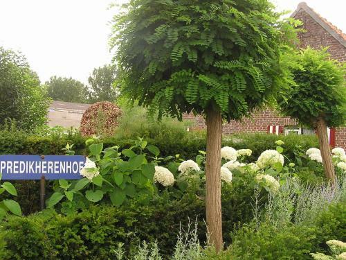 Bed & Breakfast Predikherenhof
