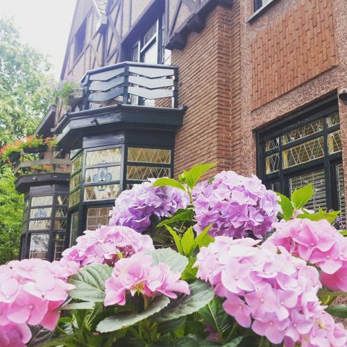 Hostal Vakantie Woning/guesthouse Momo