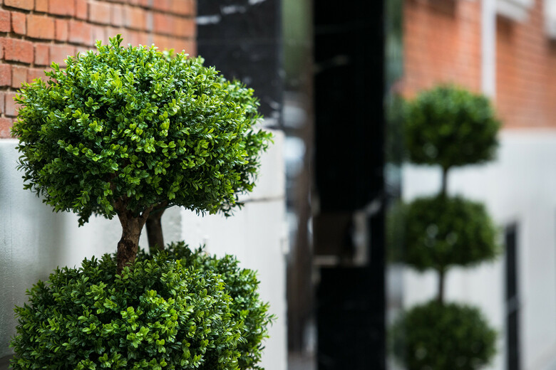 Hotel Neomagna Madrid