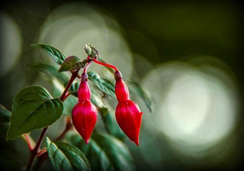 Agroturismo Suhka Tourism Farm