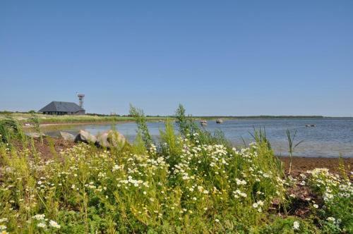 Agroturismo Harbor House L�mala