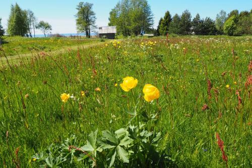 Agroturismo Leesi Puhkemaja