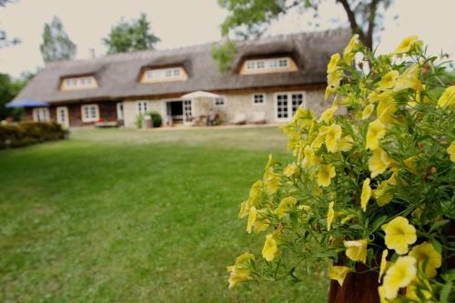 Bed & Breakfast Metsara B & B