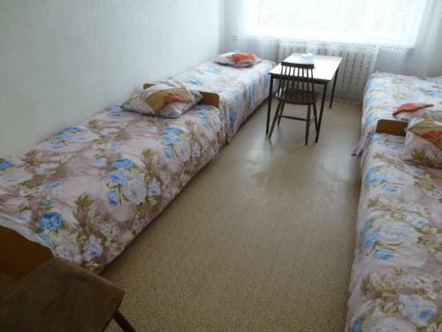 Hostel Nele