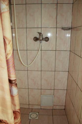 Hostel Nele