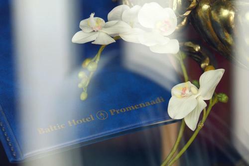 Baltic Hotel Promenaadi