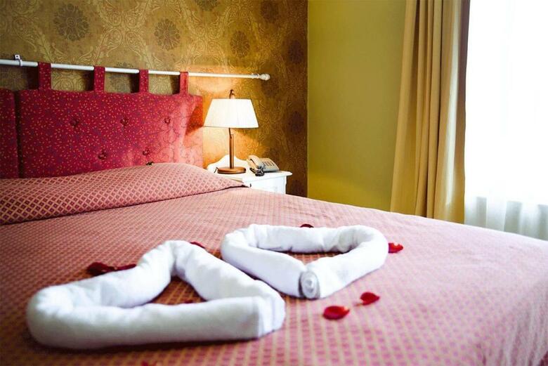 Hotel Metsis