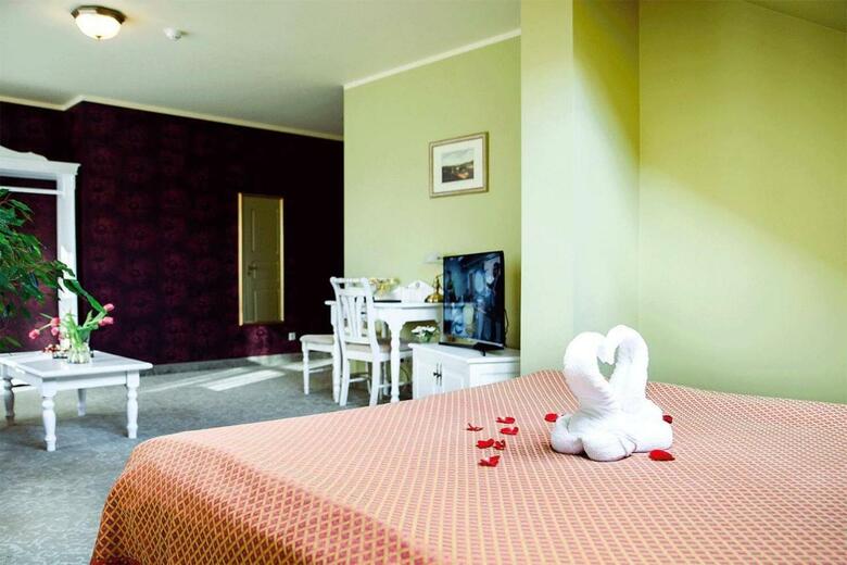 Hotel Metsis