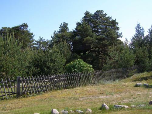 Treimani Puhkemaja