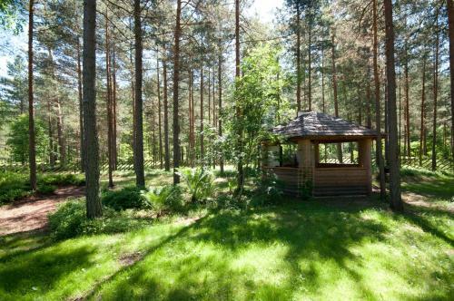 Kasepuu Holiday House