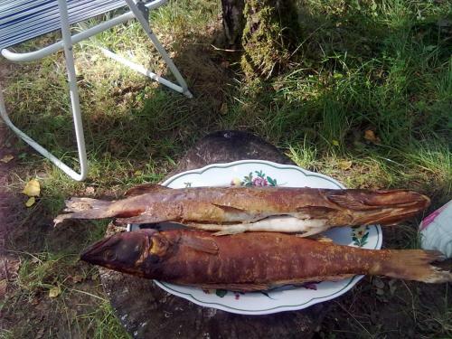 J�rvenukka Puhkemaja