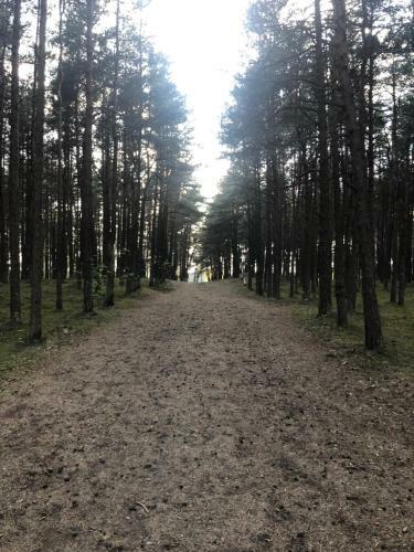 Bed & Breakfast Paivilla Boutique Hotel