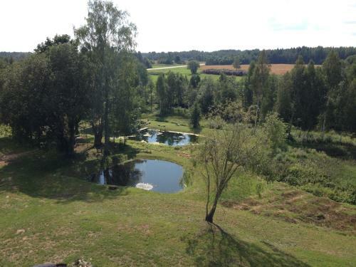 Hostal P��ni Tavern & Guesthouse