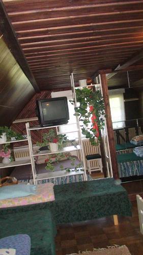 Tammek�nnu Holiday House