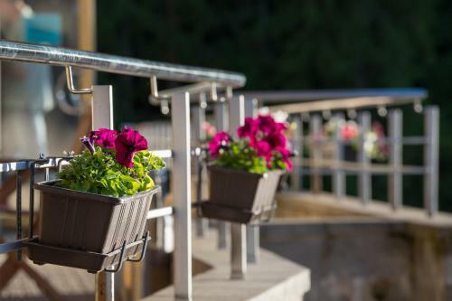 Hotel Holstre-polli Holiday Centre